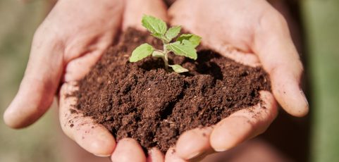 ¿Por qué la superficie de la tierra es marrón?