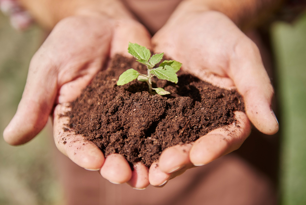 ¿Por qué la superficie de la tierra es marrón?