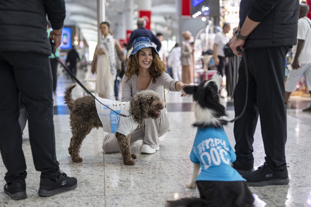 “Perros de terapia” en el aeropuerto de Estambul ayudan a los pasajeros