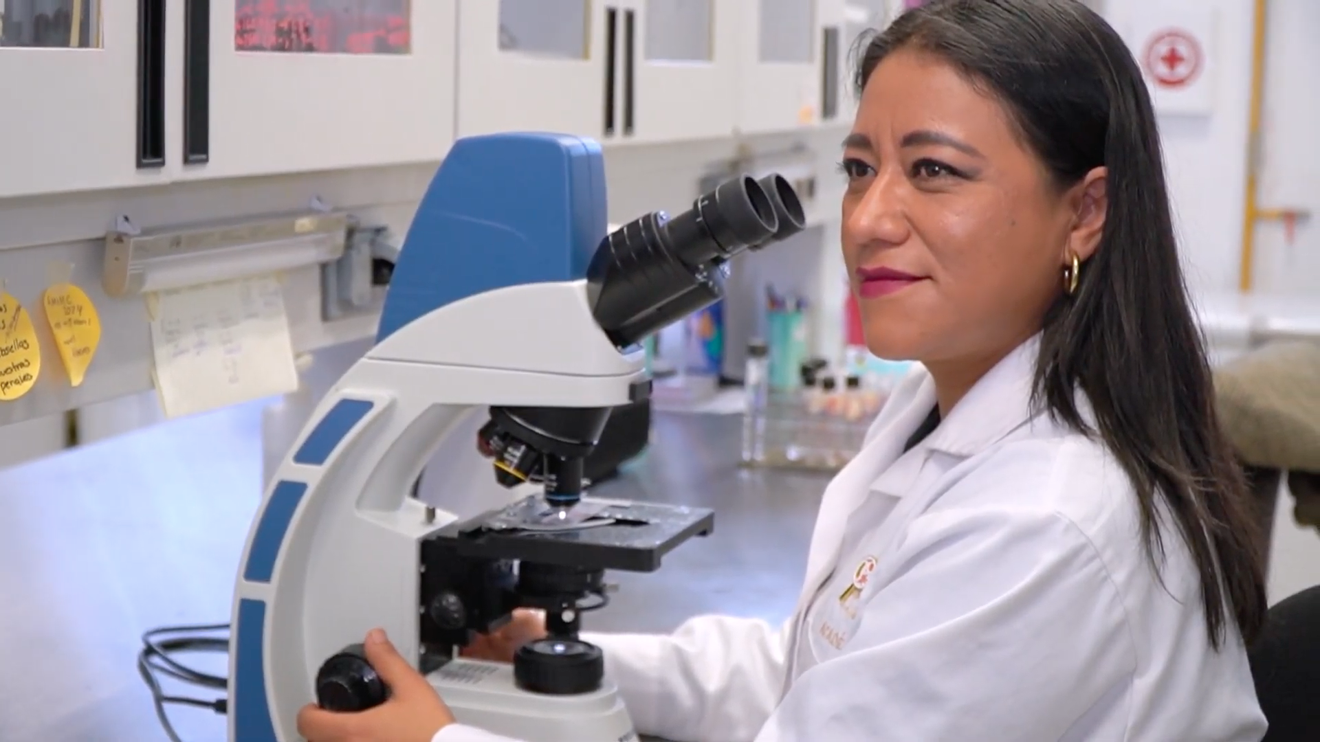 Una mexicana estudia bacterias que podrían prevenir el cáncer cervicouterino