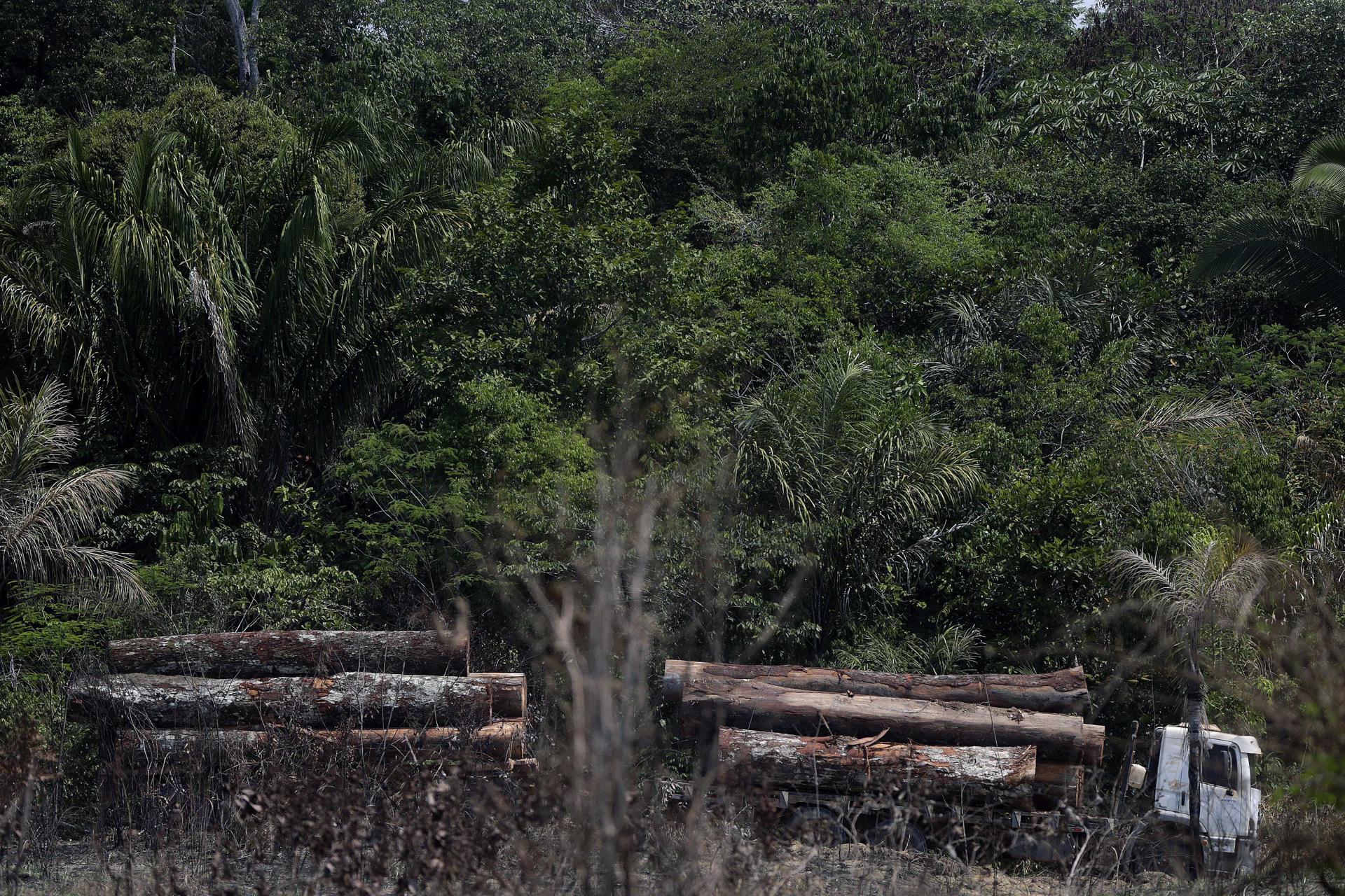 Supermercados españoles, «en riesgo» de vinculación con la deforestación en Brasil