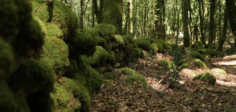 Descubierta en Italia una muralla de 3 kilómetros de tiempos de la rebelión de Espartaco