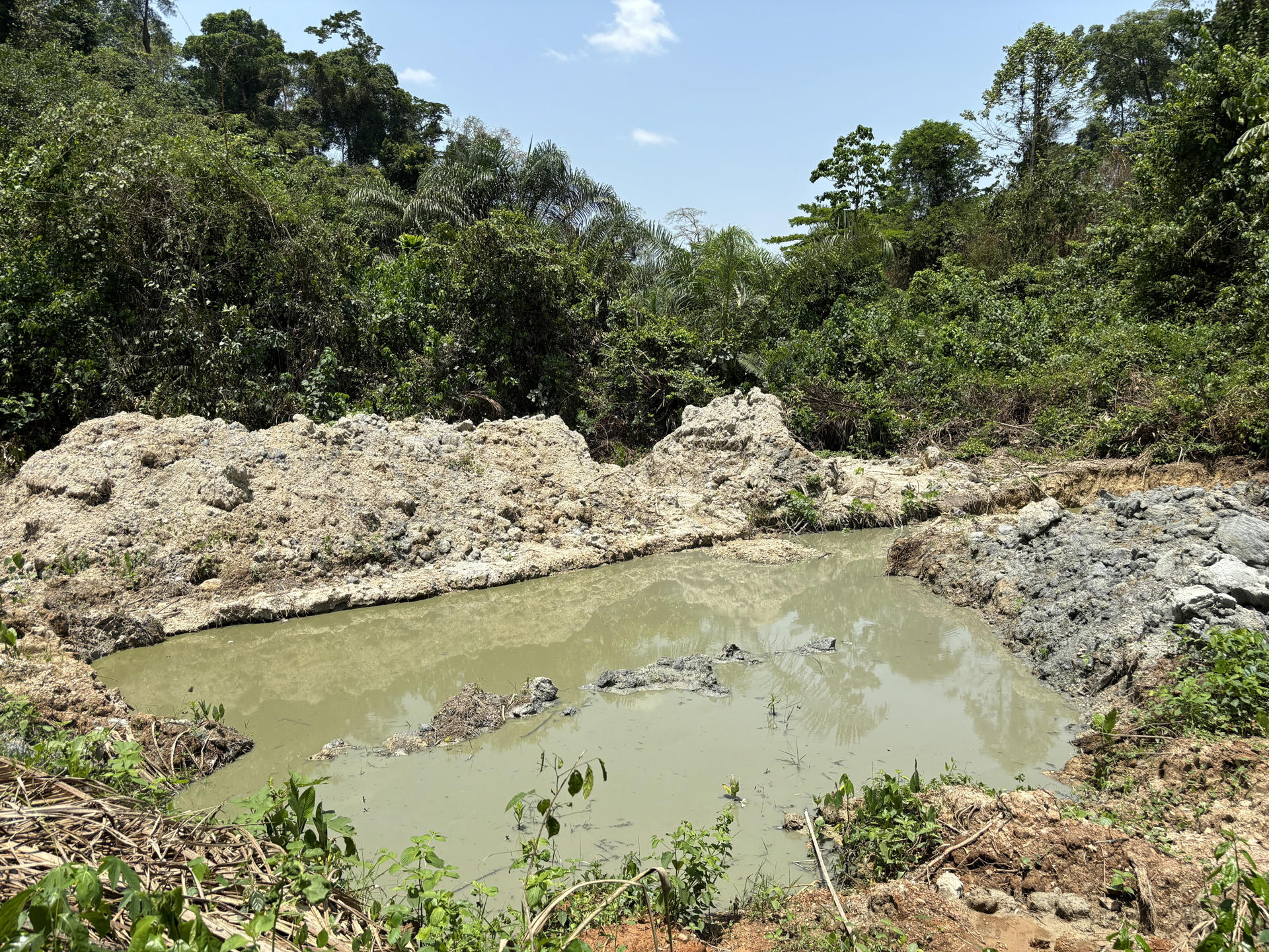 Más de 4.500 especies de vertebrados en jaque por la actividad extractiva