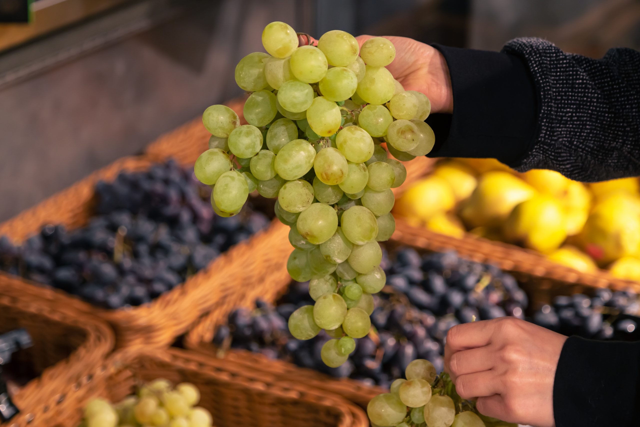 La unión entre agroecología y producción de vino en el Valle Marga-Marga