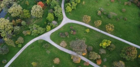 Mini bosques, una oportunidad para la fauna en zonas urbanas