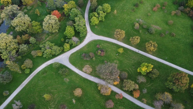 Mini bosques, una oportunidad para la fauna en zonas urbanas