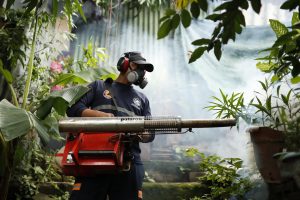 El Salvador intensifica jornadas de fumigación por alza de niños hospitalizados por dengue
