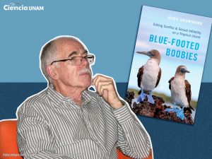 ar_libro_bobo_patas_azules_01_03062024