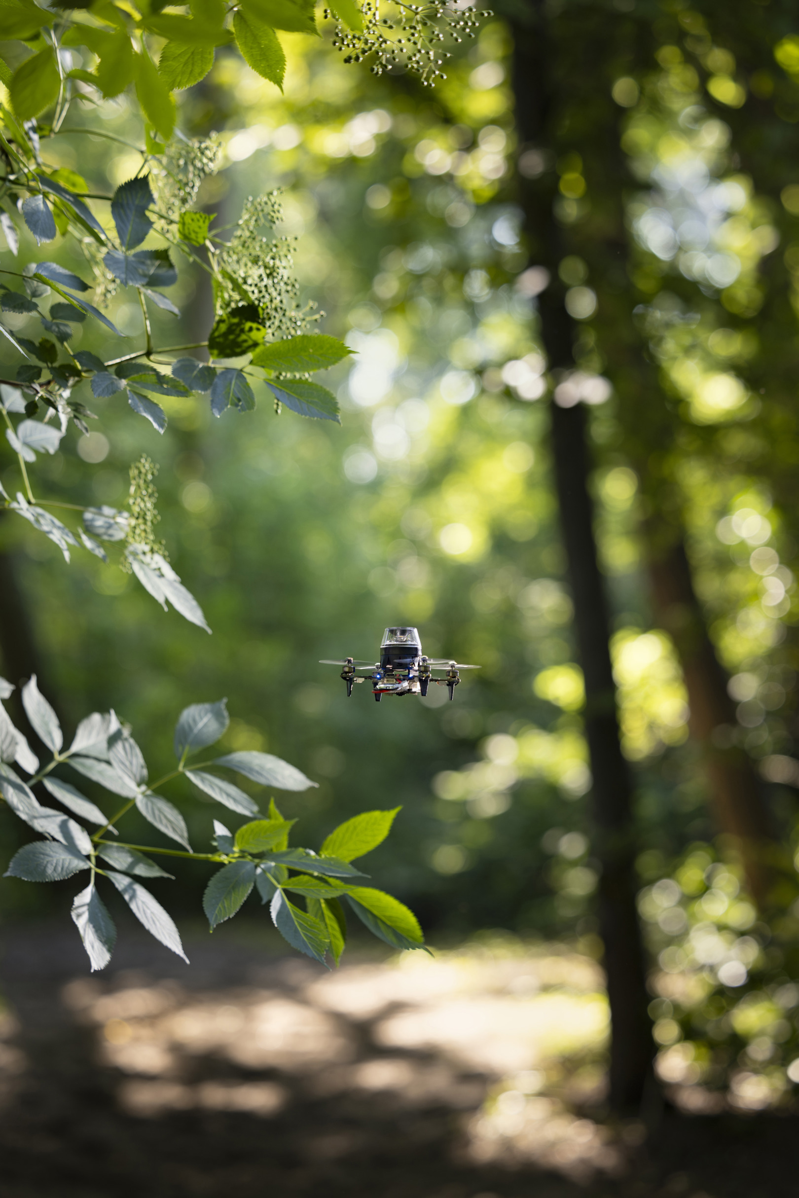 Crean minidrones inspirados en la capacidad de orientación de los insectos