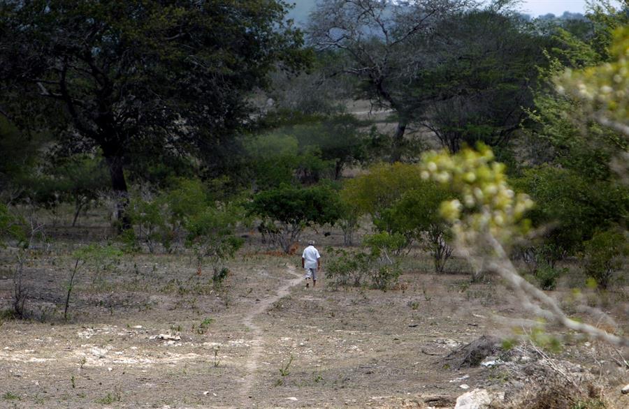 El enriquecimiento del suelo es vital en agricultura y en retención de carbono