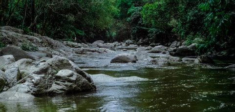 Río Machángara es declarado sujeto de derecho en Ecuador