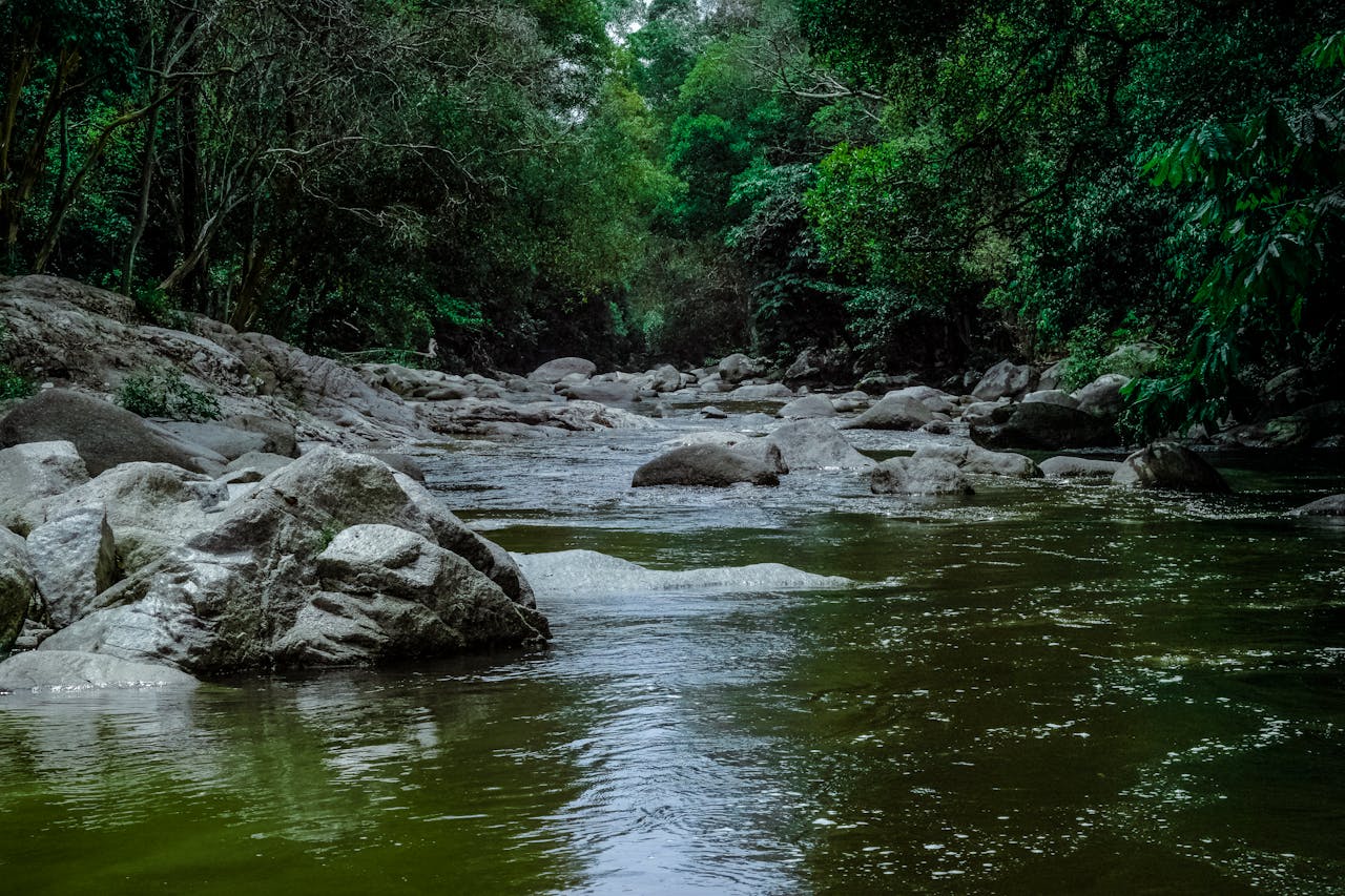 Río Machángara es declarado sujeto de derecho en Ecuador