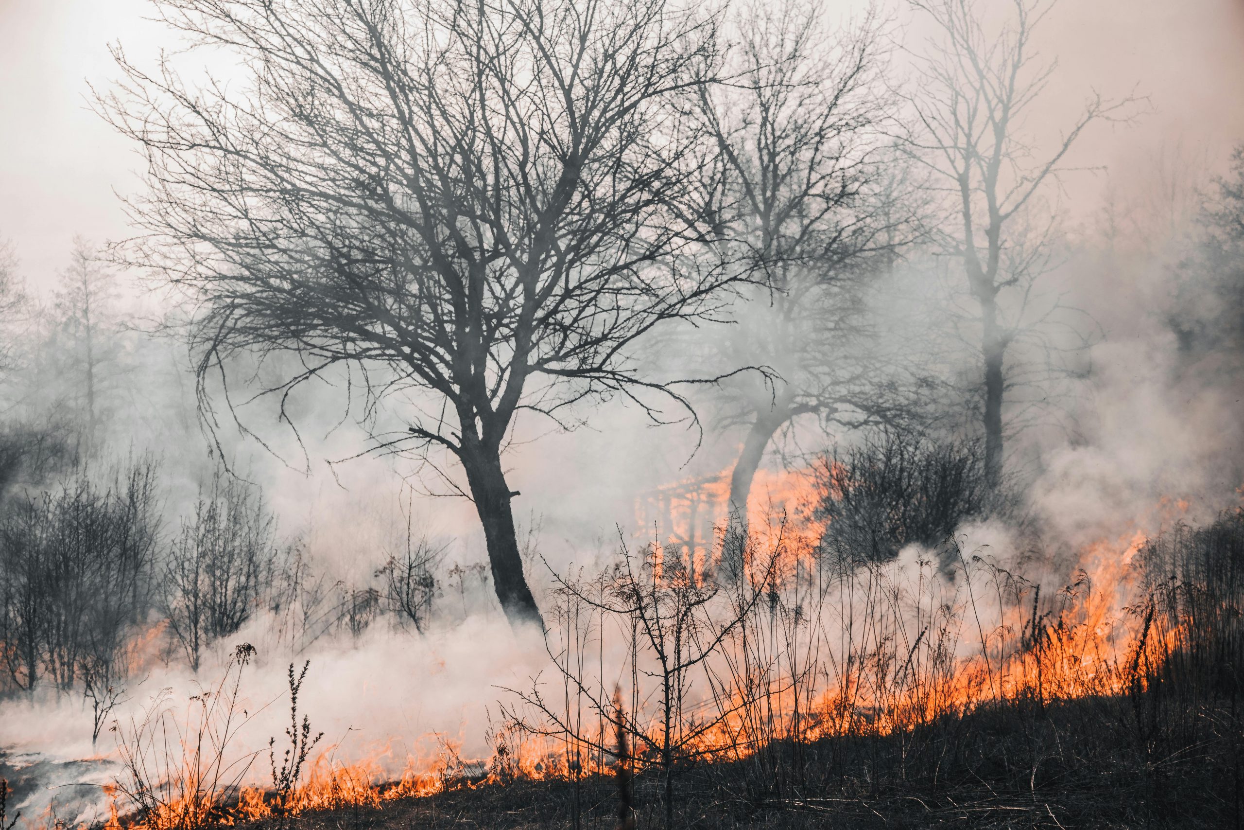 Evacuan a más de 9.000 personas en Canadá por incendio forestal