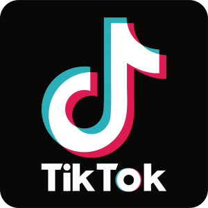 tik-tok-seeklogo