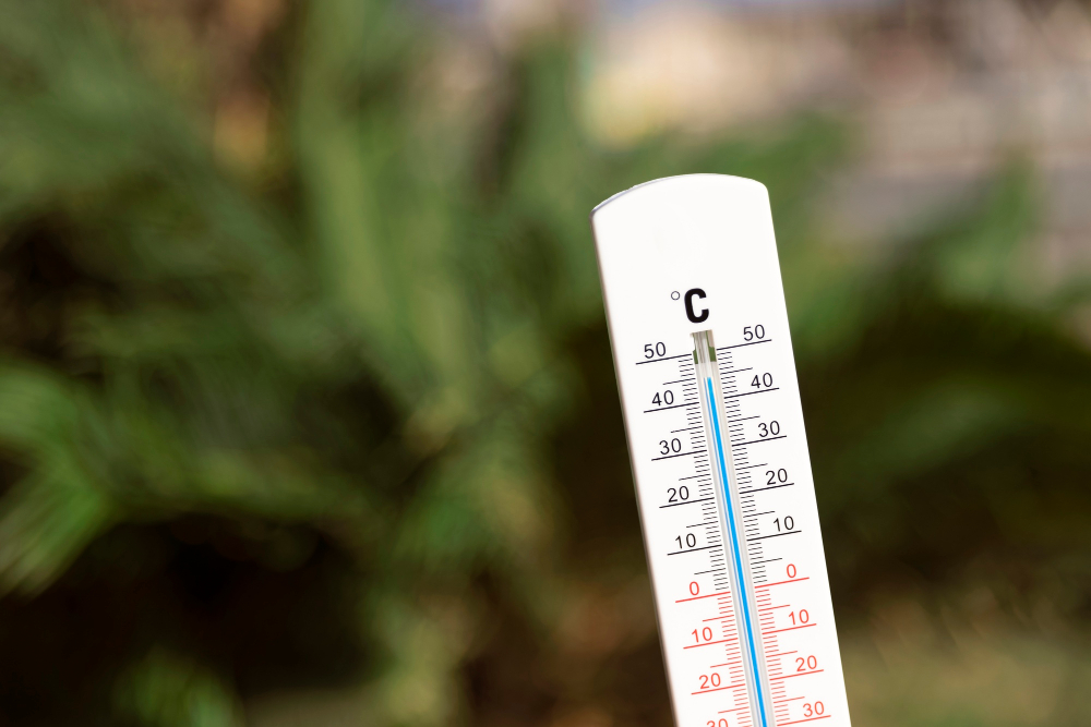 En Tokio registran temperaturas de casi 40°C, algo inusual