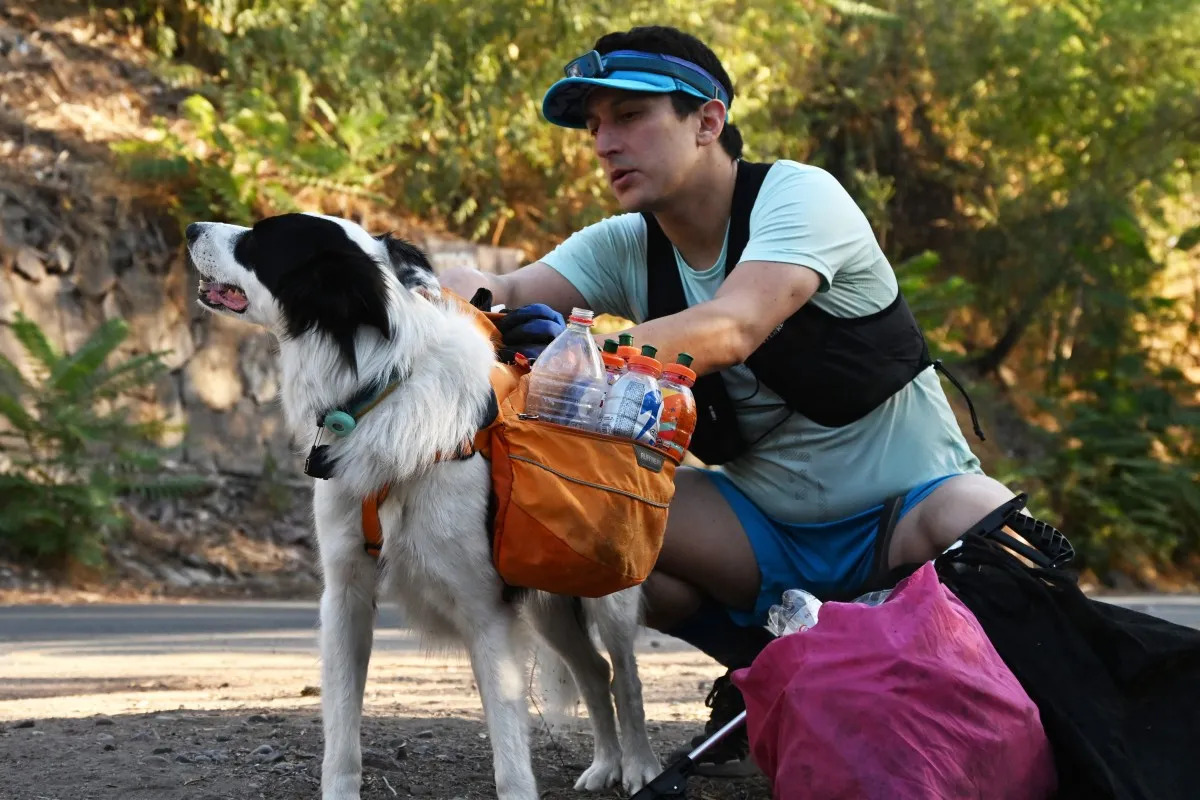 Plogging: la combinación entre ejercicio y recolección de basura