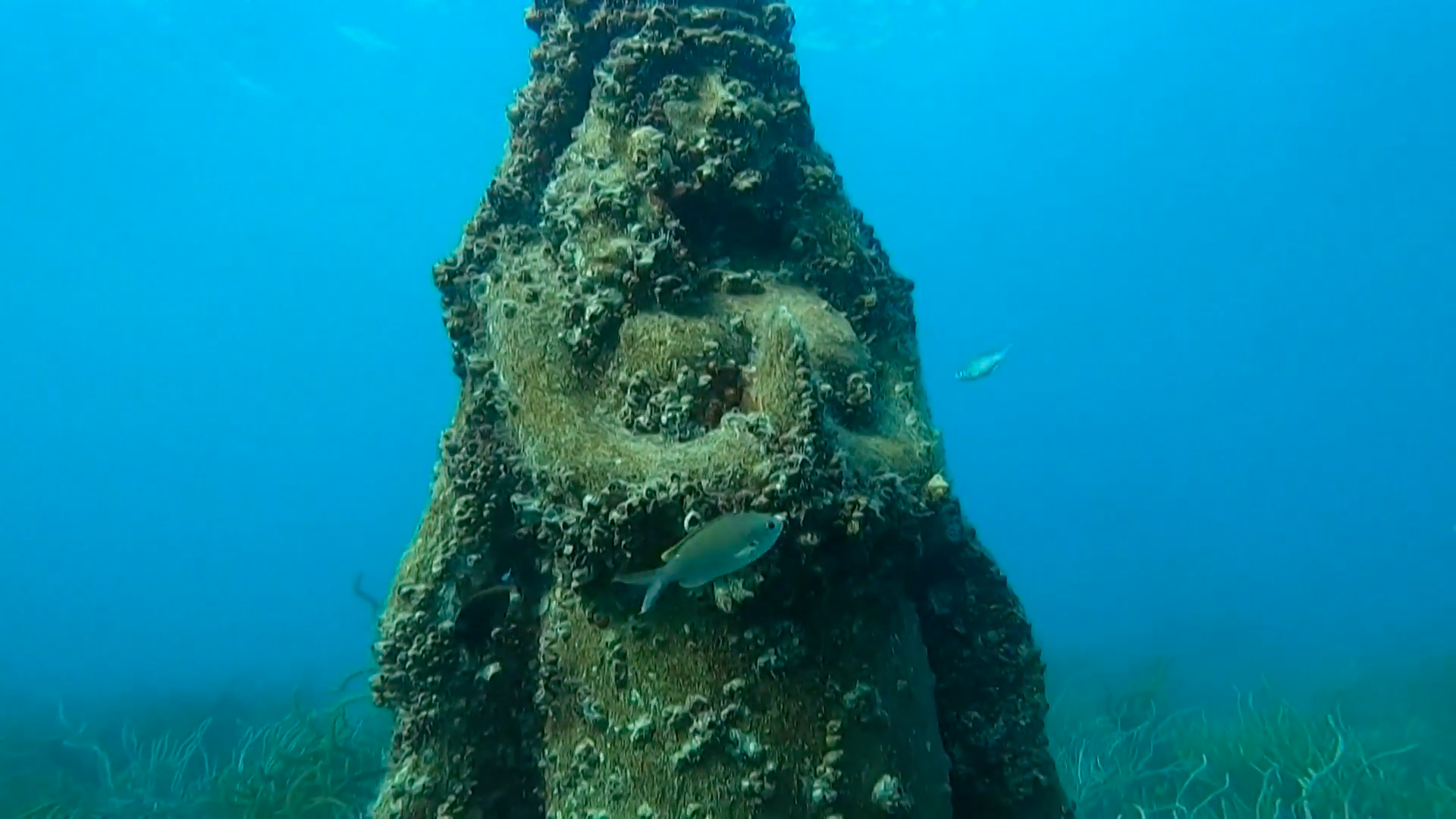 Un museo submarino en Venezuela para conservar los arrecifes de coral