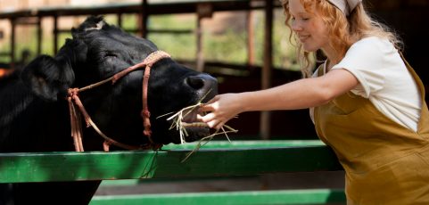 Kulning: una tradición vocal de la Edad Media para llamar al ganado