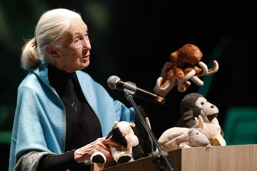 Jane Goodall espera que la COP16 conlleve a un «mayor cambio» para Colombia y el mundo