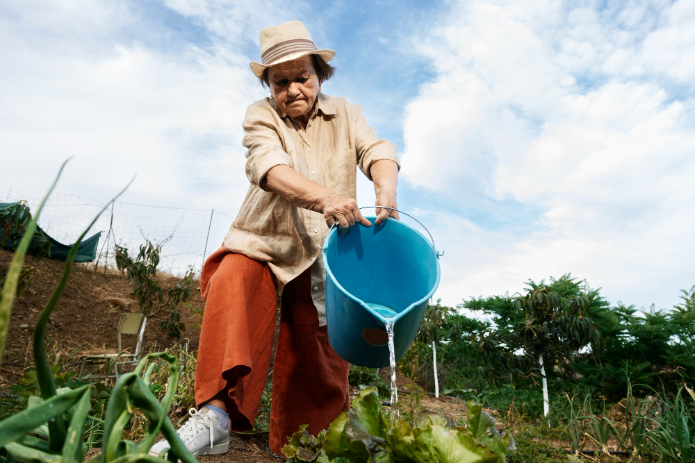 Comunidades en frontera de Ecuador con Colombia asumen proyecto de seguridad alimentaria