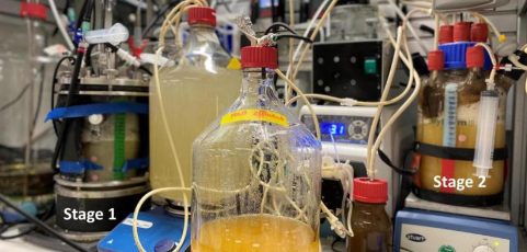 Microbios alimentados con energía renovable para transformar el CO2 en proteínas