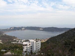 7.Bahía de Acapulco, se ven cientos de árboles derribados y secos, siete meses después de Otis _ Itzi Cancino Rábago