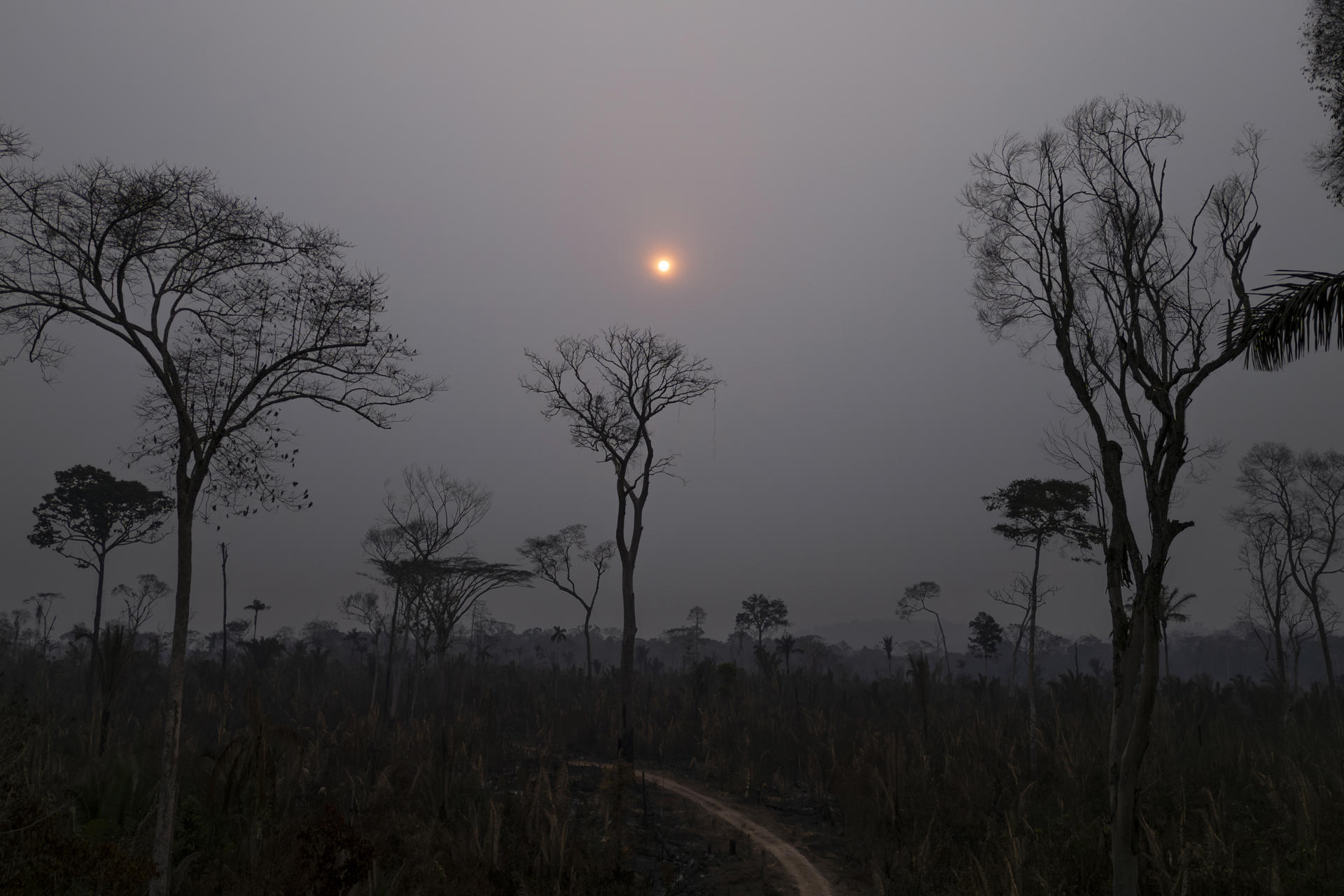 Los incendios forestales en Brasil provocan mayor nivel de emisiones de carbono en dos décadas