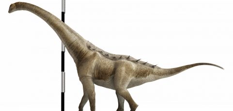 Hallan en Cuenca una nueva especie de dinosaurio gigante