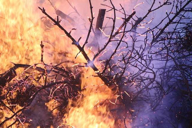 Santa Cruz encara su «mayor desastre ambiental» en Bolivia por incendios, dice gobernación