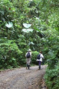 hike-1220297_640