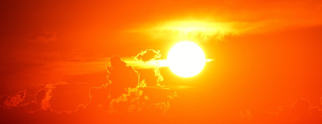 Olas de calor de 2022 y 2023 superaron las variaciones climáticas de últimos 1.000 años