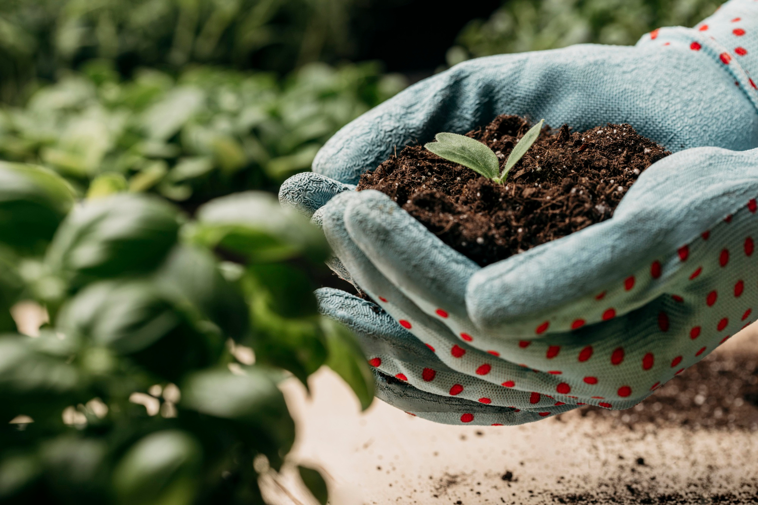 Un proyecto de hidrógeno verde busca una agricultura sostenible