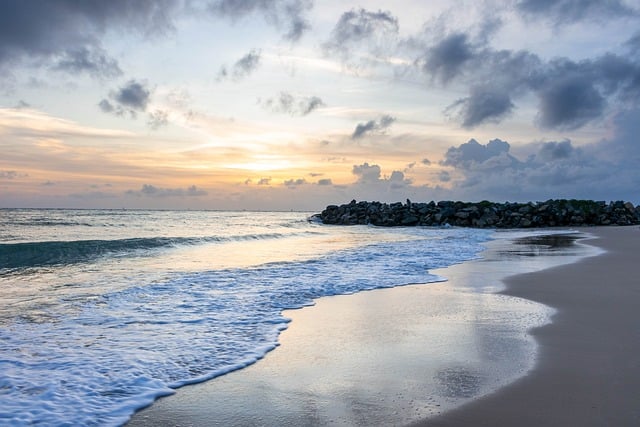 La restauración de las playas compromete la conservación de su biodiversidad