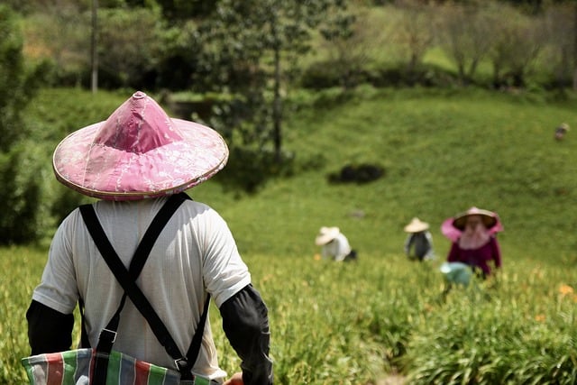 La FAO integra la resistencia al clima de los pueblos indígenas a sus planes agrícolas