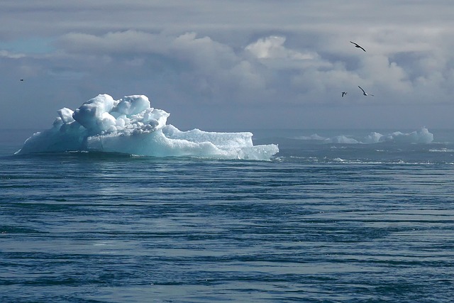 El dinero público es esencial contra el cambio climático, afirma jefe de la agencia ONU para el clima