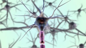 neurons-7079536_640