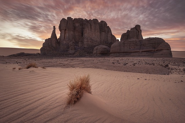 Lluvias torrenciales devuelven la vida al desierto del Sáhara en Marruecos