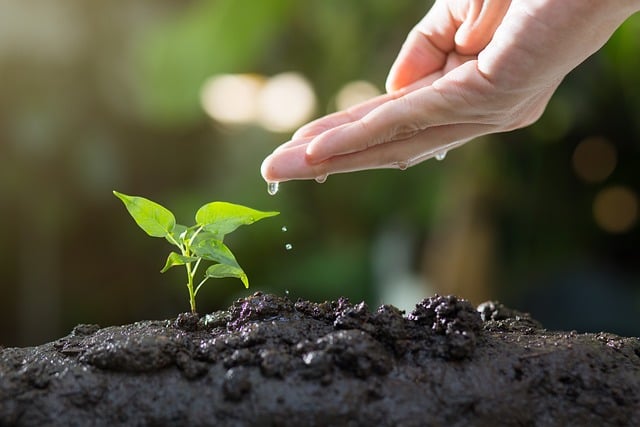 Ciencia, participación y equidad: el papel de los recursos genéticos en la COP16