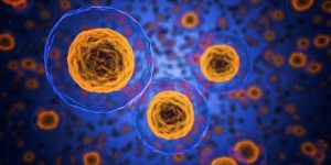 cells-1872666_640