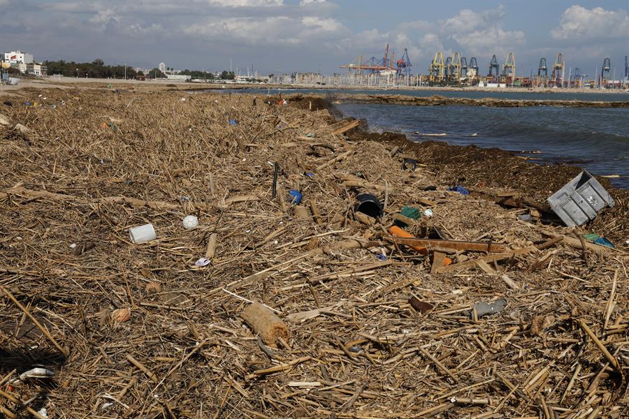 Voluntarios limpian las playas de Uruguay en el Día Internacional de Limpieza de Costas