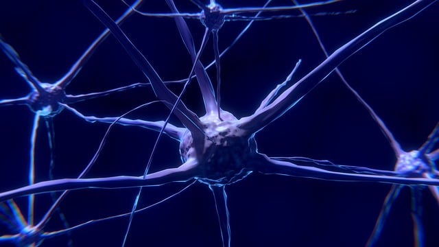 Los antidepresivos activan un receptor clave en la plasticidad neuronal