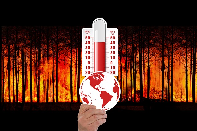 Los científicos están intrigados por la cadena de récords de la temperatura mundial