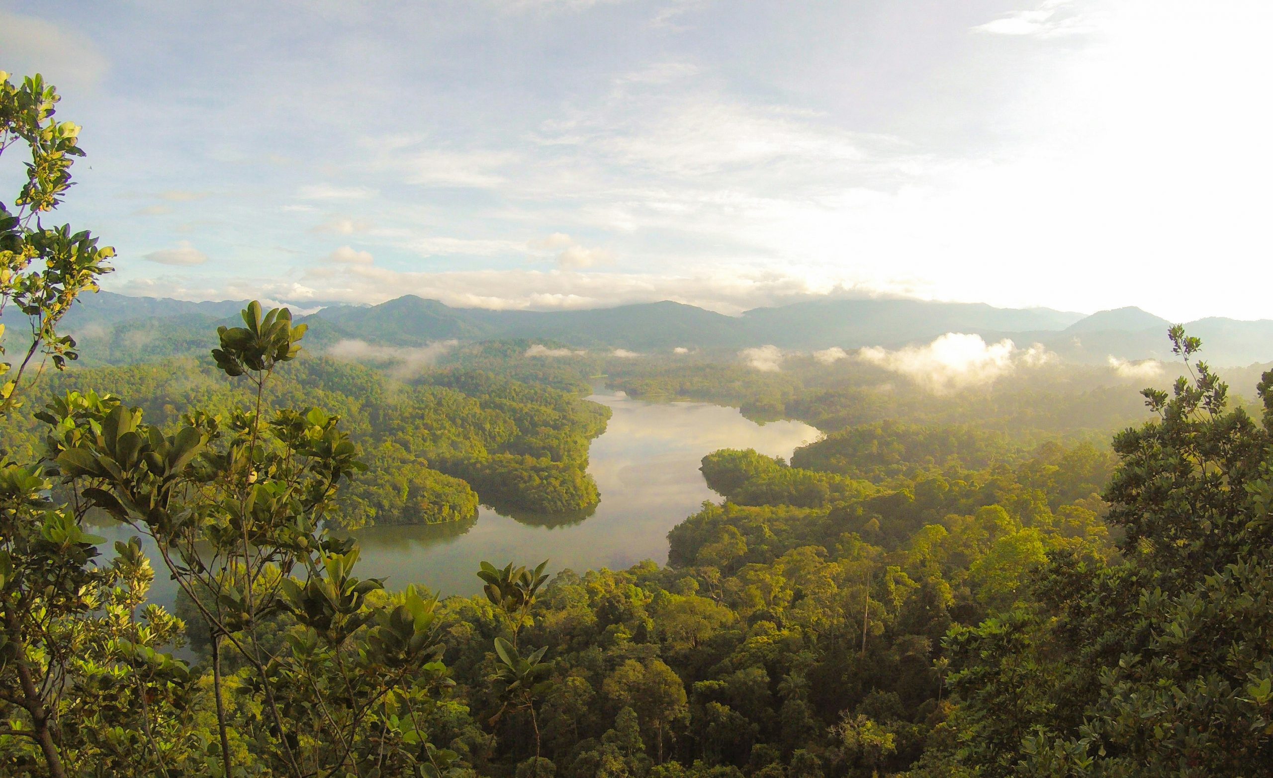 Montes Azules en la selva Lacandona, un tesoro natural de México