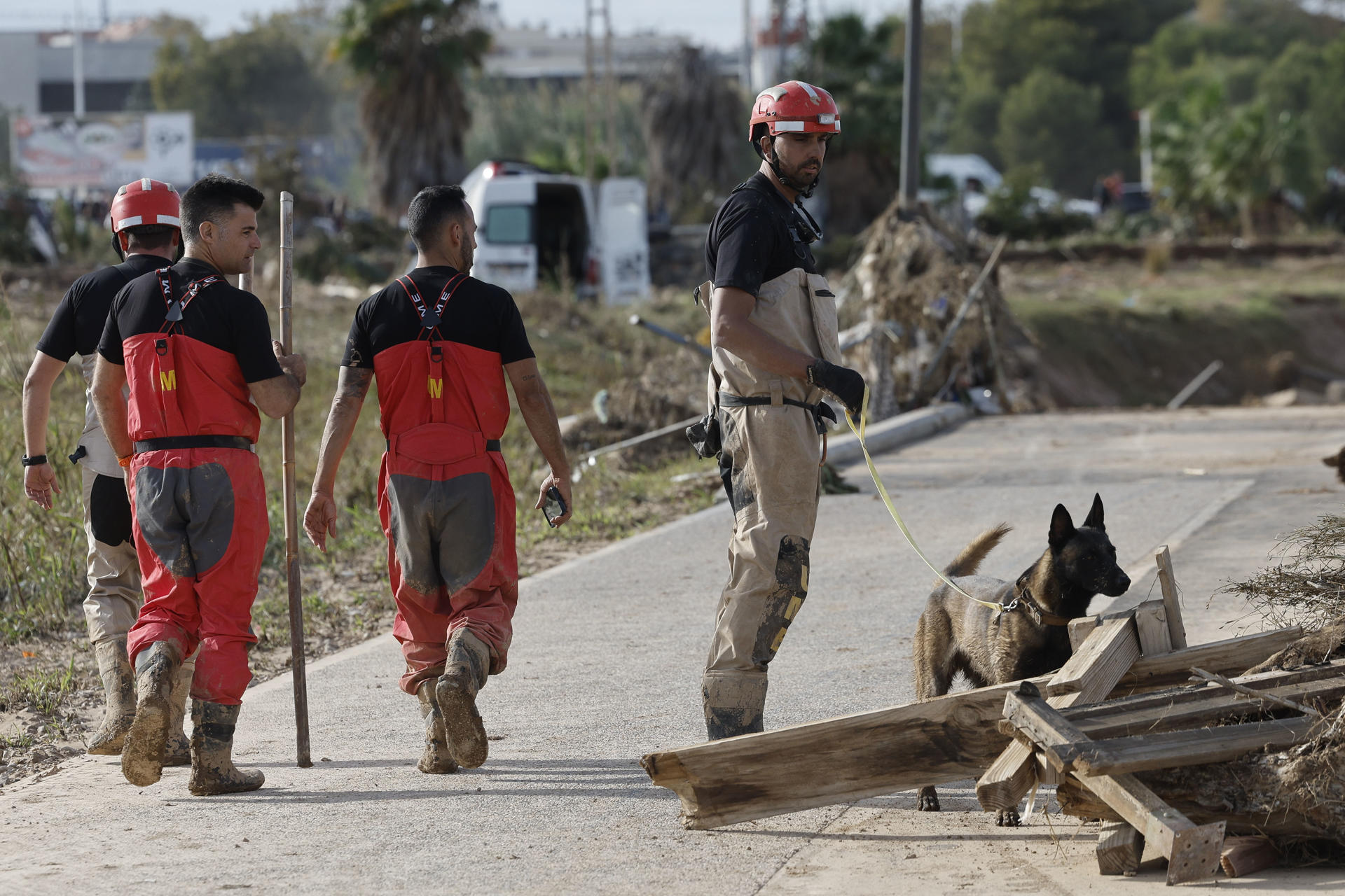 Cómo las brigadas caninas rastrean víctimas de incendios de Los Ángeles