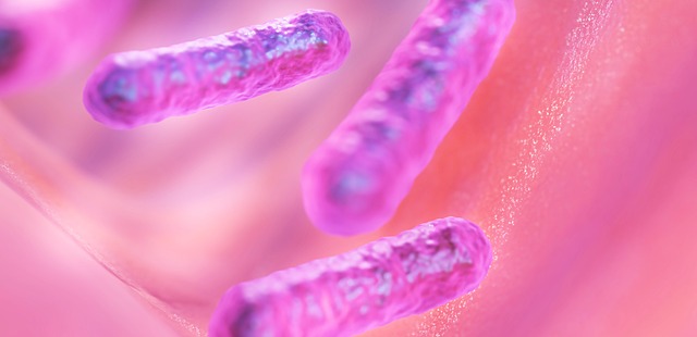 Revelan un mecanismo que promueve la resistencia de suberbacterias a los antibióticos