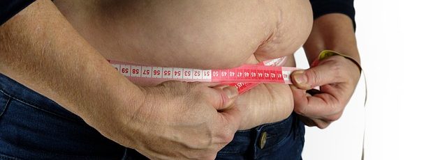 Investigadoras españolas descubren un mecanismo ‘quemagrasas’ contra la obesidad