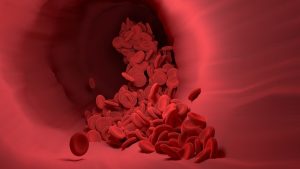 red-blood-cells-4256710_640