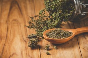 239-5-CIENCIA_Cannabis_