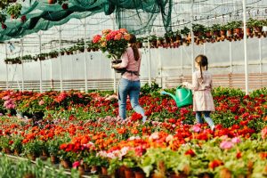 738-1-CIENCIA_Cultivo flores_