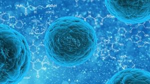 bacteria-163711_640